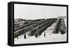 Lozengrad Military Park in Bulgaria-null-Framed Stretched Canvas