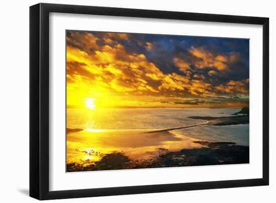 Lrososm-Viviane Fedieu Daniel-Framed Photographic Print