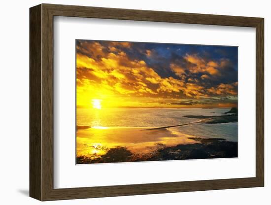 Lrososm-Viviane Fedieu Daniel-Framed Photographic Print