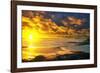 Lrososm-Viviane Fedieu Daniel-Framed Photographic Print