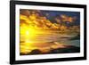 Lrososm-Viviane Fedieu Daniel-Framed Photographic Print