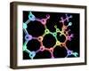 LSD Molecule, Artwork-PASIEKA-Framed Photographic Print