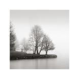 Fog and Trees at Dusk-Lsh-Stretched Canvas