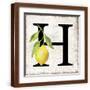 Brown Frame