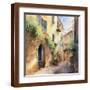 Brown Frame