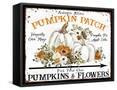 Framed Canvas
