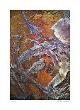 Coyote Canyon II-Luann Ostergaard-Giclee Print