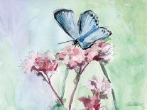 Watercolor Butterfly II-LuAnn Roberto-Art Print