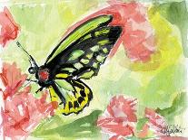 Watercolor Butterfly IV-LuAnn Roberto-Art Print