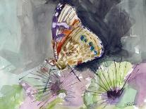 Watercolor Butterfly IV-LuAnn Roberto-Art Print