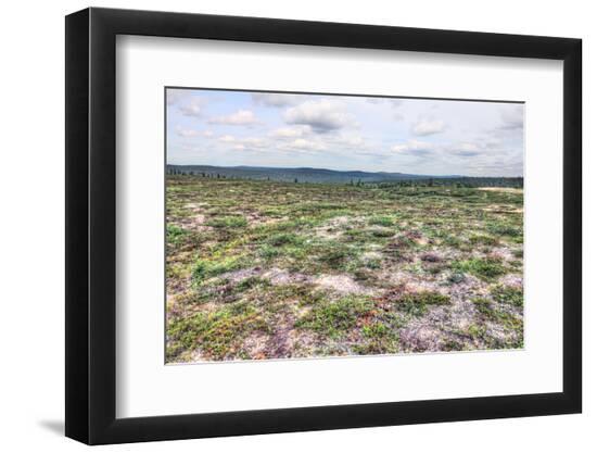 Premium Photographic Print, , large