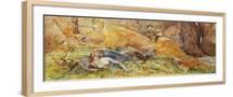 Brown Frame