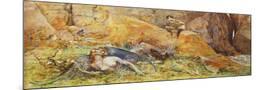 Wood Mount