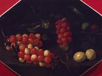 Still Life with Cherries and Strawberries-Luca Forte-Giclee Print