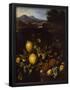Essential Black