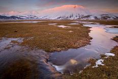 Italy, Marche, Sibillini National Park, Plain of Castelluccio Di Norcia-Luca Giustozzi-Photographic Print