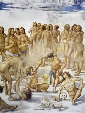 Resurrection of Flesh, from Last Judgment Fresco Cycle, 1499-1504