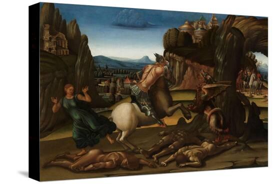 Stretched Canvas Print, , large