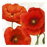 Poppies I-Luca Villa-Art Print