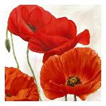 Poppies I-Luca Villa-Art Print