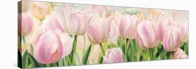 Tulips & Colors-Luca Villa-Stretched Canvas