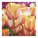 Tulip Concerto II-Luca Villa-Art Print