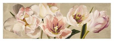 Tulips & Colors-Luca Villa-Art Print
