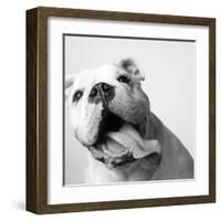 Luca-Amanda Jones-Framed Art Print