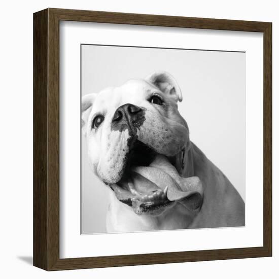 Luca-Amanda Jones-Framed Art Print