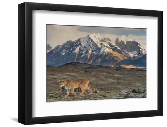Premium Photographic Print, , large