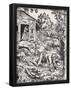 Lucas Cranach (Werewolf) Art Poster Print-null-Framed Poster