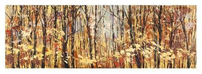 Tramonto sul bosco I-Lucas-Art Print