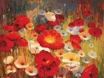 Meadow Poppies I-Lucas Santini-Mounted Art Print