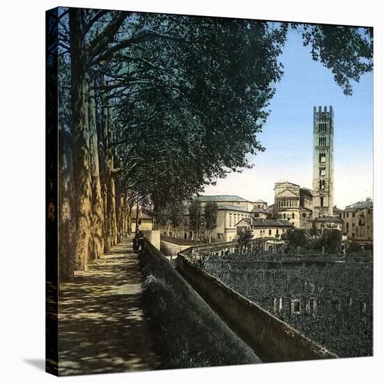 Lucca (Italy), the San Frediano Church (1112-1147), Circa 1895-Leon, Levy et Fils-Stretched Canvas