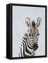 Framed Canvas