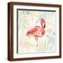 Brown Frame