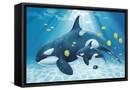Canvas Black