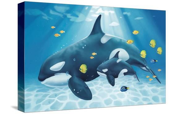 Stretched Canvas Print, , large