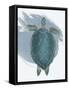 Framed Canvas