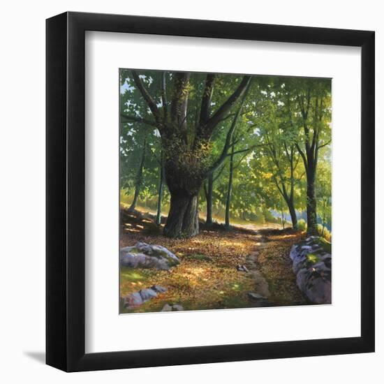 Luce nel bosco-Adriano Galasso-Framed Art Print