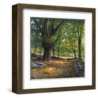 Luce nel bosco-Adriano Galasso-Framed Art Print