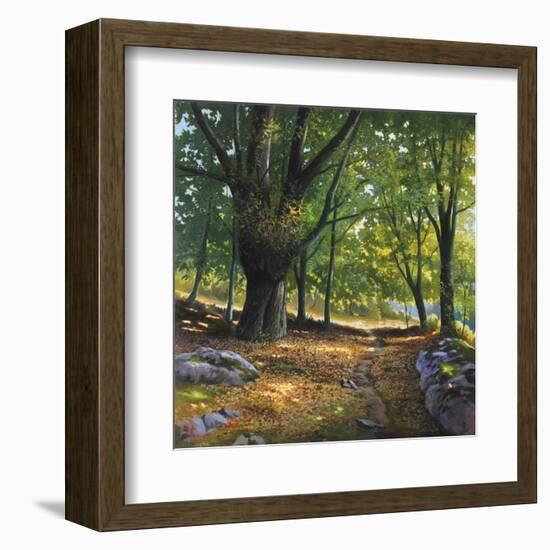 Luce nel bosco-Adriano Galasso-Framed Art Print