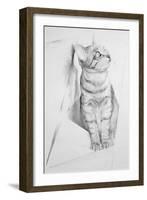Luce Questioning-Antonio Ciccone-Framed Giclee Print