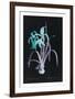 Lucent - Amaryllis-Chris Dunker-Framed Limited Edition