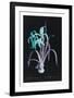 Lucent - Amaryllis-Chris Dunker-Framed Limited Edition