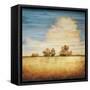 Lucent I-Gregory Williams-Framed Stretched Canvas