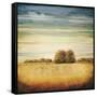 Lucent II-Gregory Williams-Framed Stretched Canvas