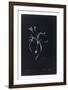 Lucent - Morea-Chris Dunker-Framed Limited Edition