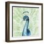 Lucent Plume II-null-Framed Art Print