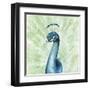 Lucent Plume II-null-Framed Art Print